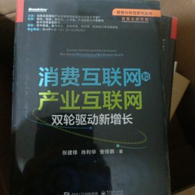 消费互联网和产业互联网：双轮驱动新增长