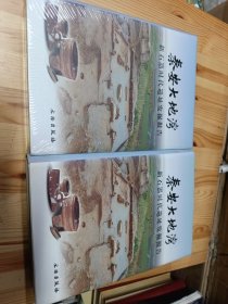 秦安大地湾：新石器时代遗址发掘报告（上下）