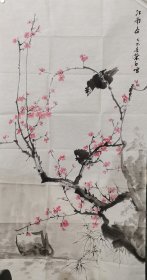 蔡白红梅