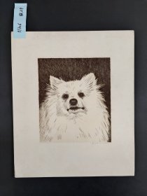 苏联版画 铜版画 小狗