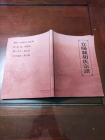 宜阳县胡氏宗谱