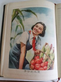 老纪念册----精美插图本！！----1959年《江苏省农业社会主义建设先进单位代表会议纪念册》！（8张精美插图，内页已经使用，32开精装本）
