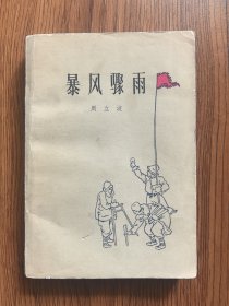 暴风骤雨