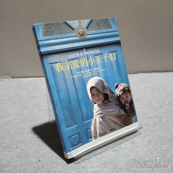 我亲爱的小王子们