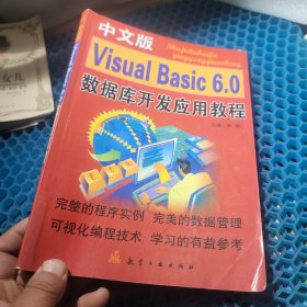 中文版Visual Basic 6.0数据库开发应用教程