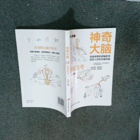 神奇大脑逻辑思考  苏易 三辰影库音像电子出版社