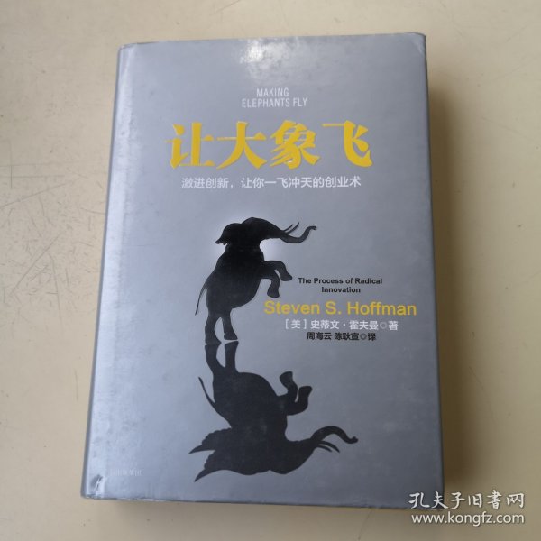 让大象飞:激进创新，让你一飞冲天的创业术