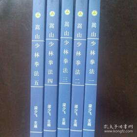 最新版 嵩山少林拳法 1-5册全 梁少飞 河南大学出版社
