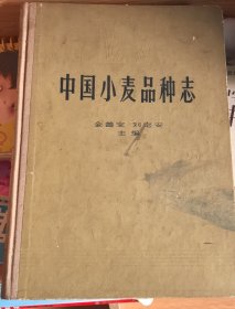中国小麦品种志