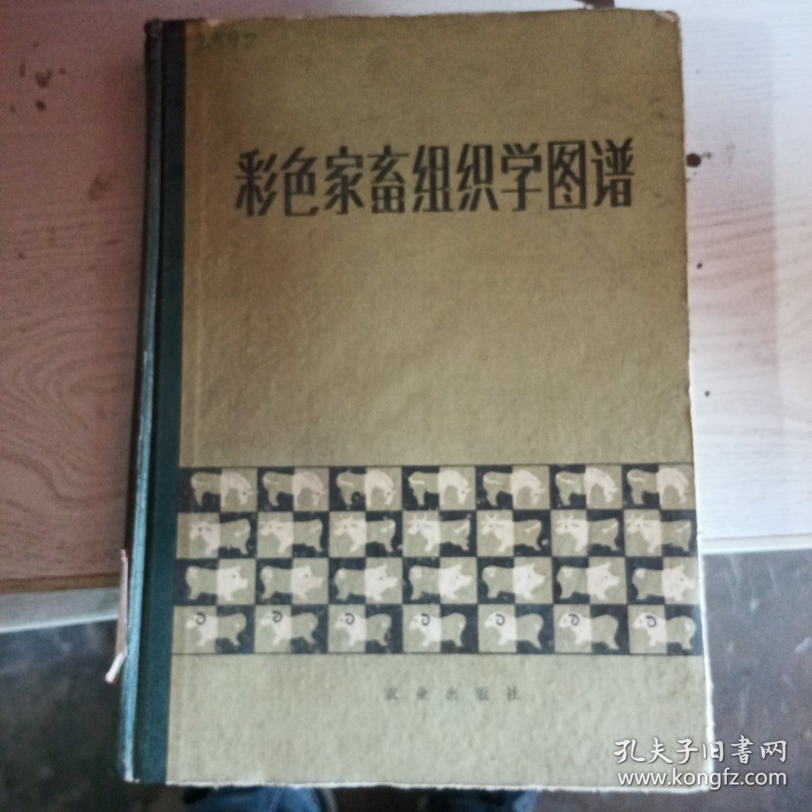 彩色家畜组织学图谱