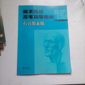 美術(shù)院校高考指導(dǎo)范例.石膏像素描