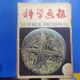 科学画报合订本 1984   1-12   170411