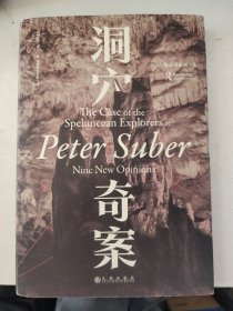 洞穴奇案 法哲学专业领域寓言式的经典文献，优秀跨学科通识教育的理想读本