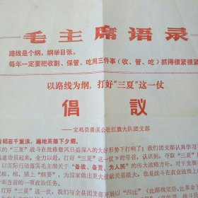 以路线为纲打好“三夏”这一仗倡议一一宝鸡县潘溪公社红旗大队团支部