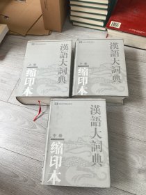 汉语大词典:缩印本（上中下）