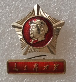 像章纪念章 星条 沈6