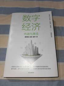 数字经济 内涵与路径