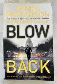 Blow Back: A Thriller - 反噬：惊险小说