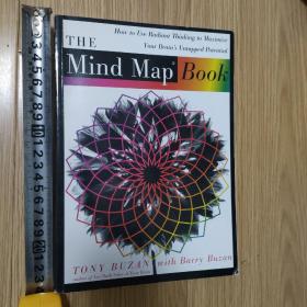 The MInd Map Book