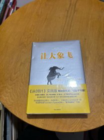 让大象飞:激进创新，让你一飞冲天的创业术