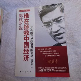 郎咸平说：谁在拯救中国经济：复苏的背后和萧条的亮点