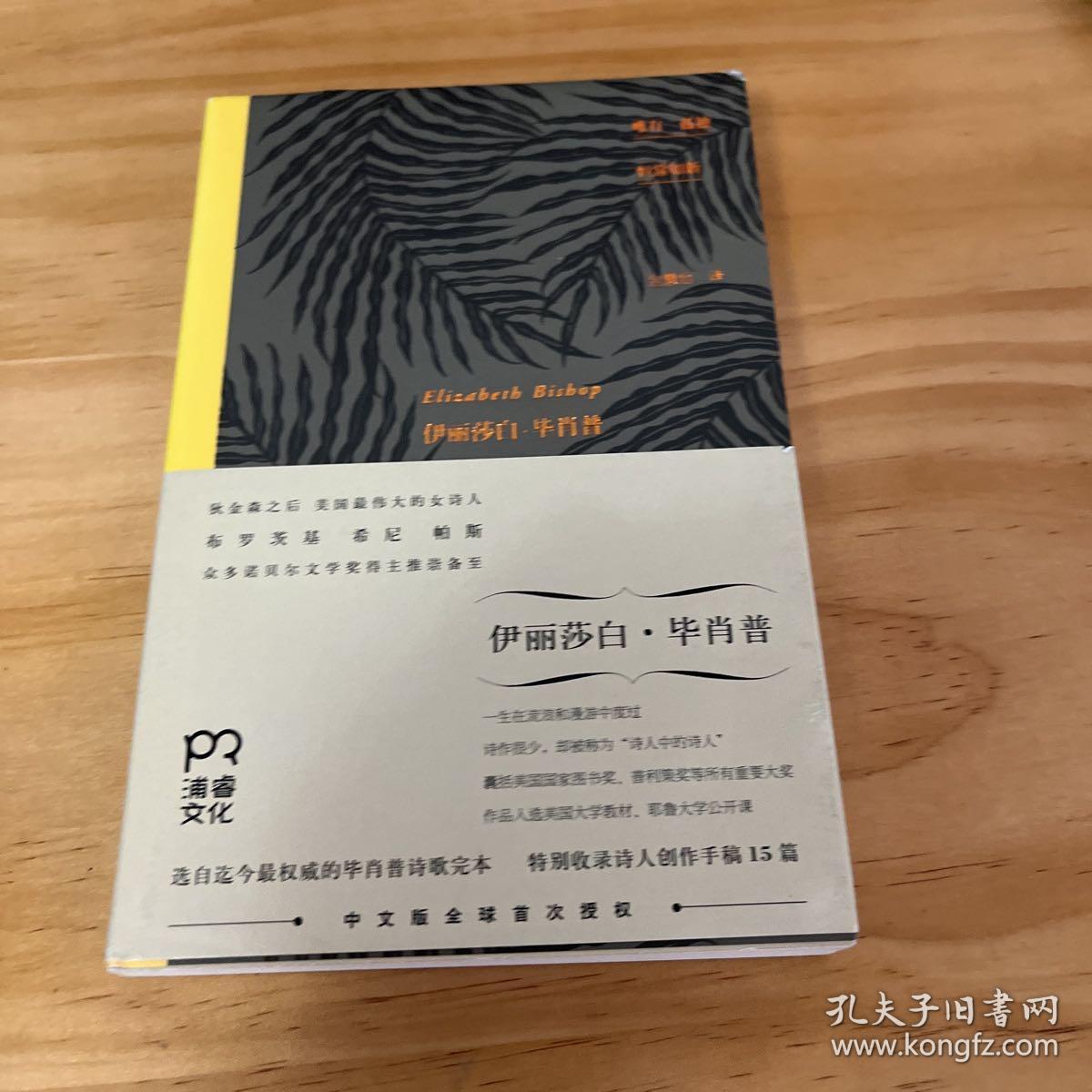 唯有孤独恒常如新：伊丽莎白·毕肖普诗选