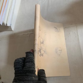 名著名译名绘版《胡桃夹子》 无书皮