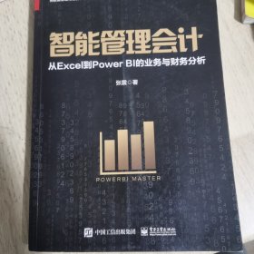 智能管理会计：从Excel到Power BI的业务与财务分析（全彩）