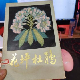 花坪杜鹃