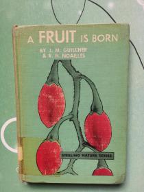 a fruit is born