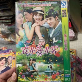 国剧 花非花雾非雾 DVD