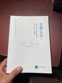 带梦逐路2——民营企业参与高质量共建“一带一路”故事集