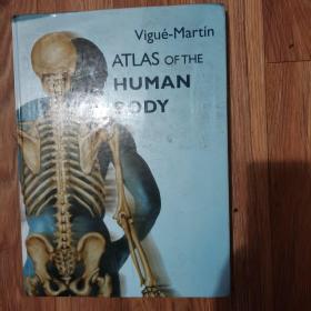 Atlas Of The Human Body