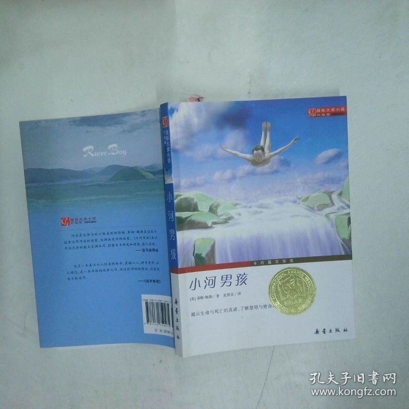 国际大奖小说小河男孩   美 蒂姆 鲍勒著 新蕾出版社
