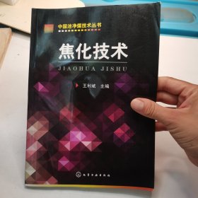 中国洁净煤技术丛书：焦化技术