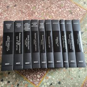 american casebook series :the law and ethics of law practice（10本合售）