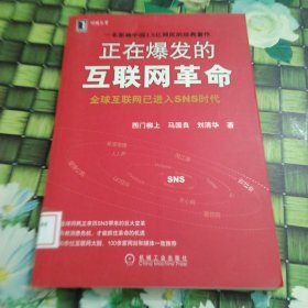 正在爆发的互联网革命：全球互联网将进入SNS时代 馆藏 正版 无笔迹