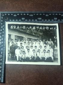 89年百泉庄小学八九届毕业合影照片一张，Z502