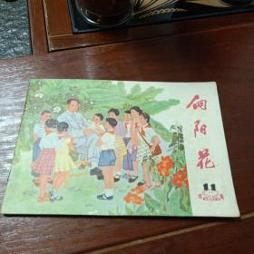 向阳花 1977年第11期