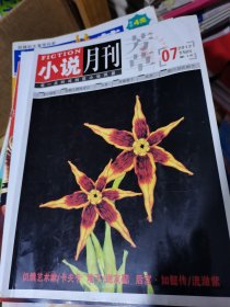 小说月刊芳草2012年第7期下旬刊