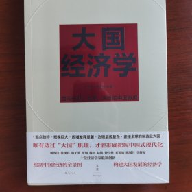 大国经济学：面向长期、全局、多维的中国发展（系统解读中国经济的通识之作，陆铭、杨汝岱等十位一流经济学家协力打造，构建理解当代中国发展的新常识）