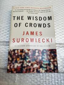 The Wisdom of Crowds：Why the Many Are Smarter Than the Few and How Collective Wisdom Shapes Business