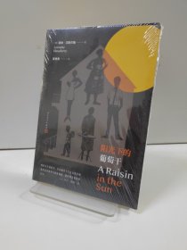 阳光下的葡萄干