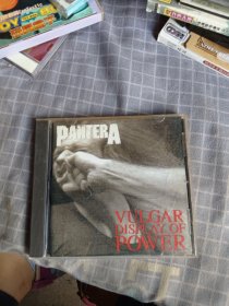 Pantera Vulgar display of power CD