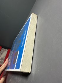 SAP BW/BO实战指南：像学习Office一样学习BW/BO