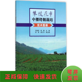 攀枝花市中颗烤烟栽培技术图册