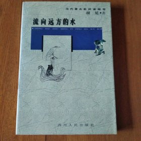 流向远方的水