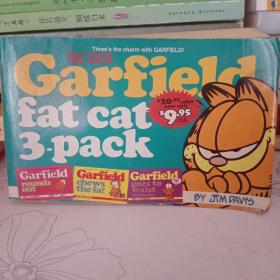 Garfield Fat Cat Three Pack Volume #6 加菲猫