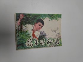 连环画 鸽子的秘密 64开 平装本.