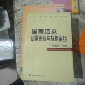 国有资本质量透视与战略重组